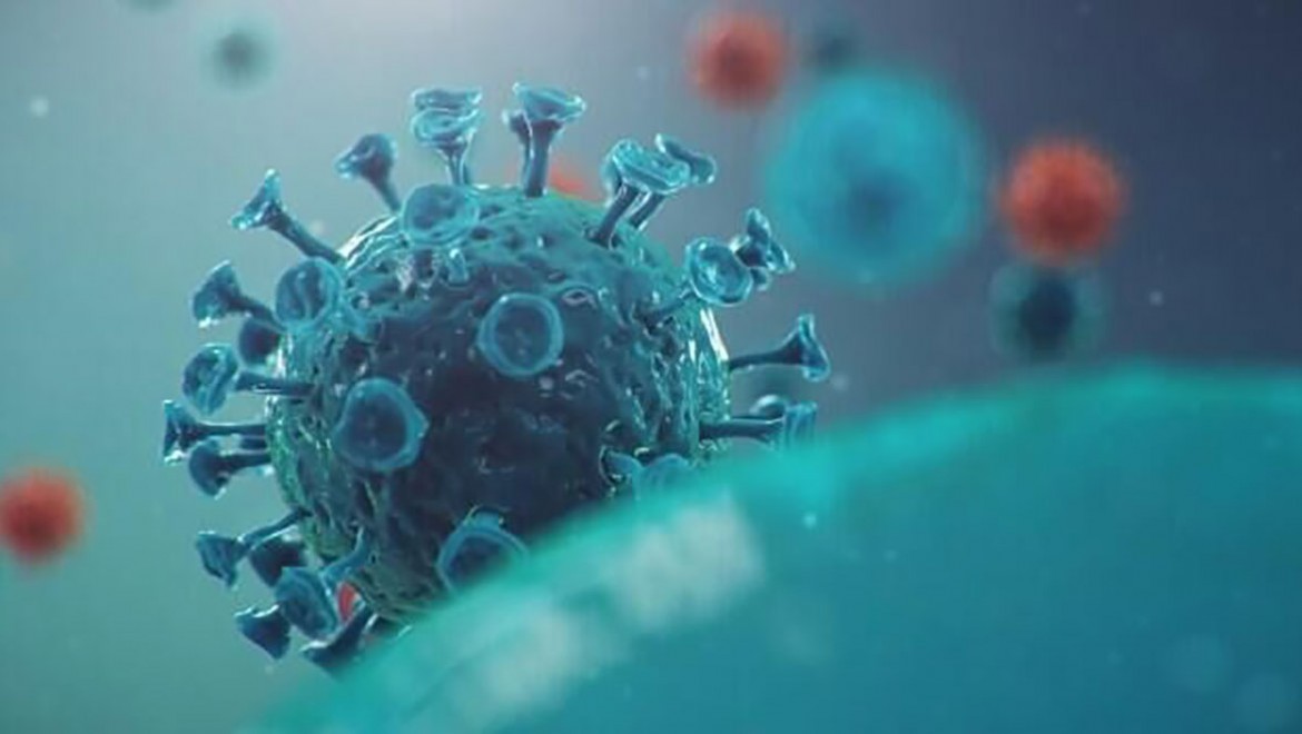 DSÖ uyarmıştı: Hindistan'da Nipah virüsü yayılıyor