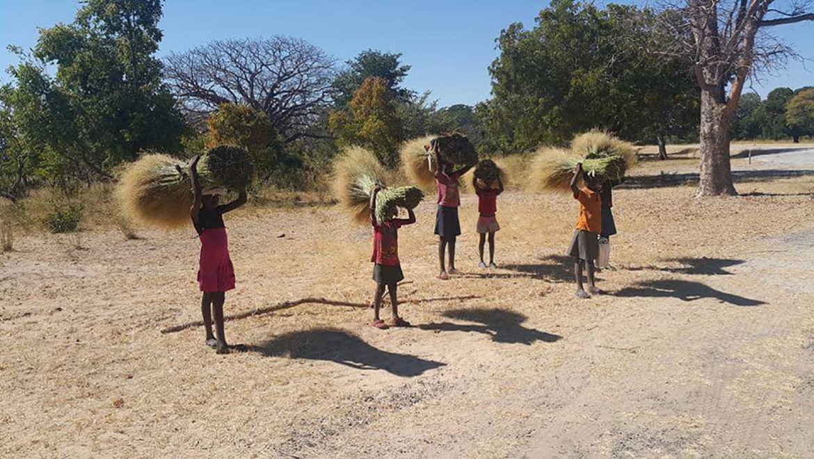Namibya'nın Caprivi şeridi...