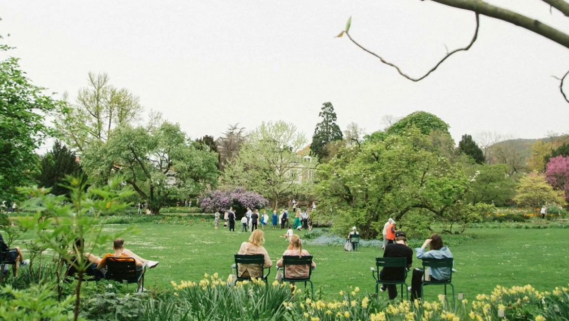 Her ay 1200 euro verilen deneyde sürpriz sonuç