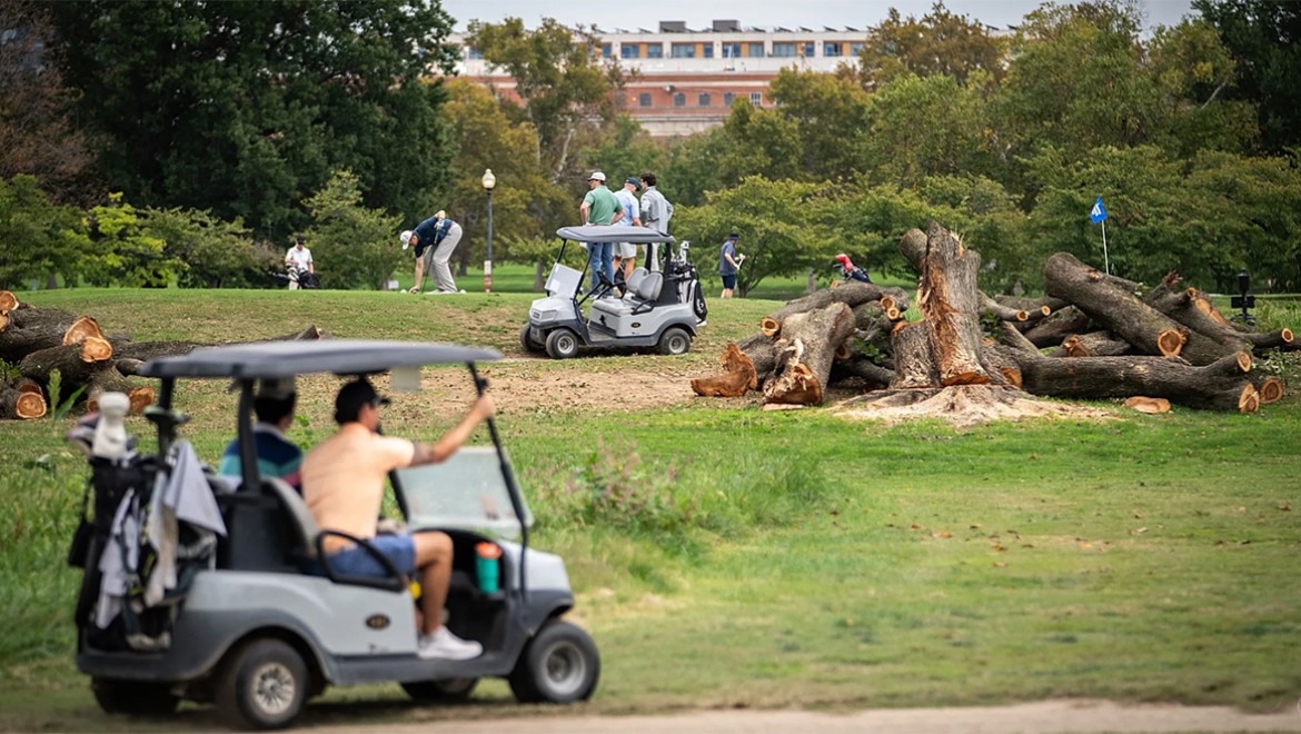 Tarihi parkta 500'den fazla ağacı kesip golf sahası yapacaklar