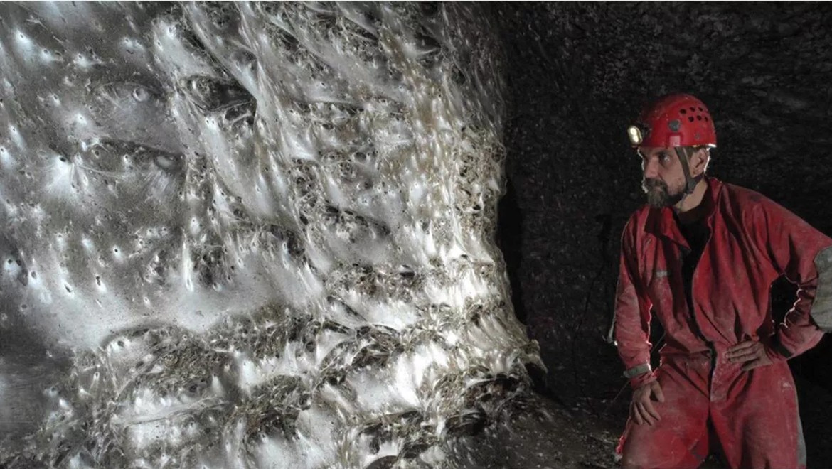 Dünyanın en büyük örümcek ağı keşfedildi