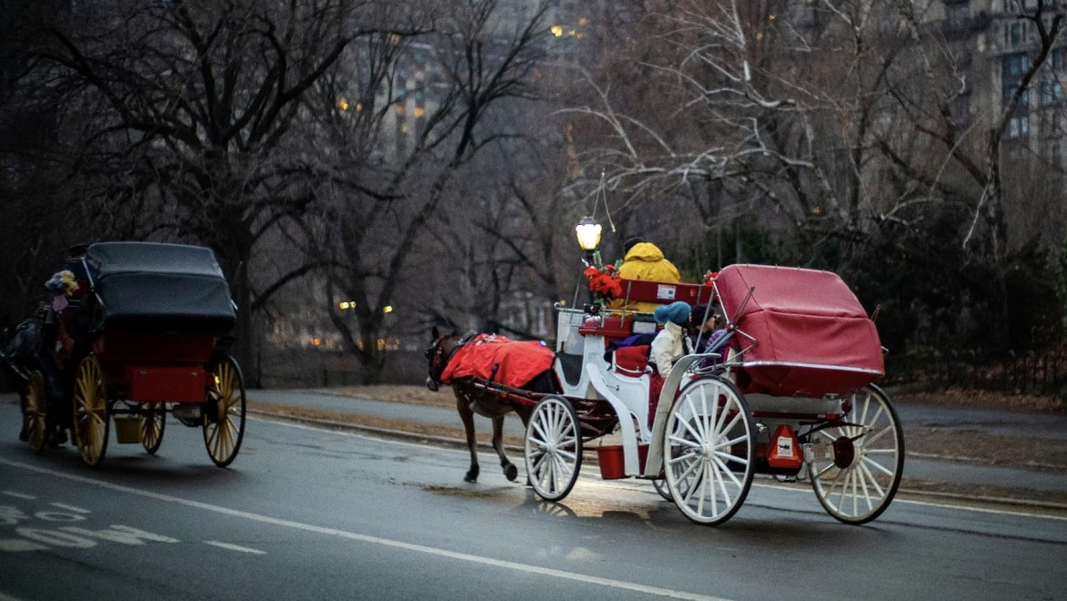 New York oyladı: Central Park faytonlarına yasak kapıda