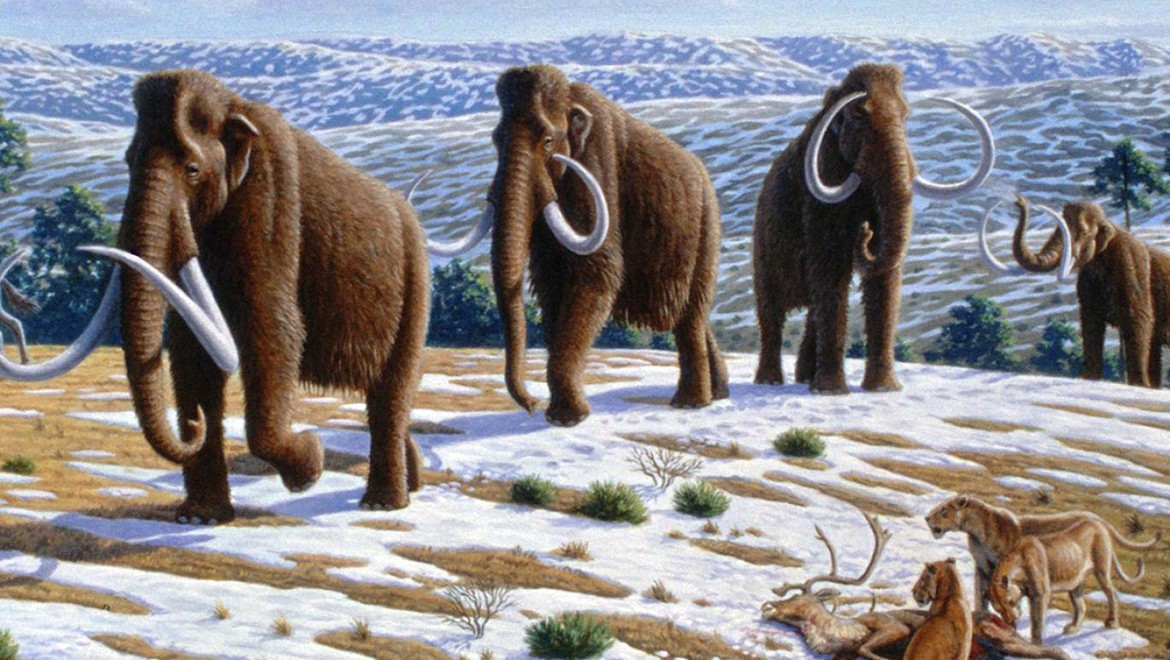 Geri getirilmeye çalışılan soyu tükenmiş 6 tür