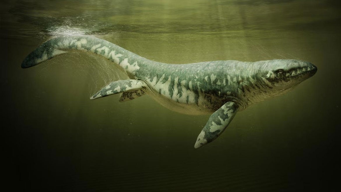 Mississippi'de dev "deniz canavarı" fosili keşfedildi