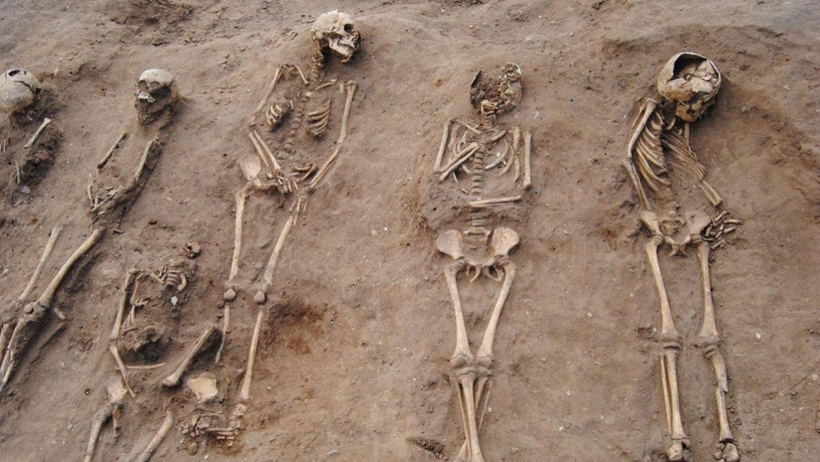 700 yıl önceki pandeminin sırları aydınlanıyor