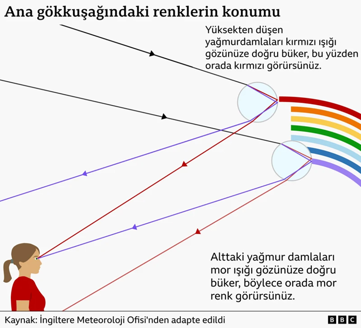 8bdb4c10-6bba-11f1-b1db-af71d47507d6.png